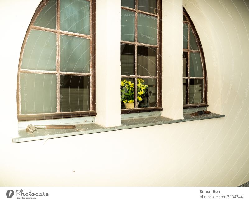 Triptychon aus Fenstern alt Wintergarten Garten Werkzeug Licht Blumenstrauß Sprossenfenster gemütlich Sonnenlicht historisch Fassade Gebäude