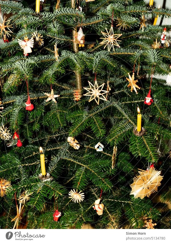 Weihnachtsbaum Kerzen Baumkerzen Weihnachten & Advent Weihnachtsdekoration Tradition Baumschmuck festlich Feste & Feiern Tannenbaum Vorfreude Stimmung Sterne
