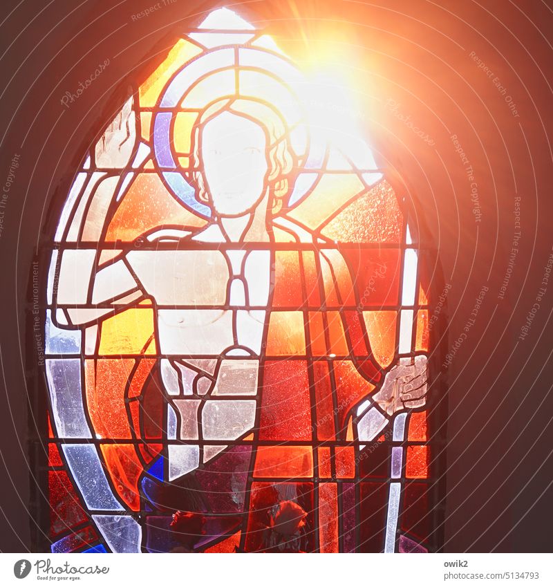 Guter Hirte Kirchenfenster Friedhofskapelle Gotteshaus Innenaufnahme Religion & Glaube Sonnenschein Sonnenlicht leuchten Lichterscheinung Fensterscheibe