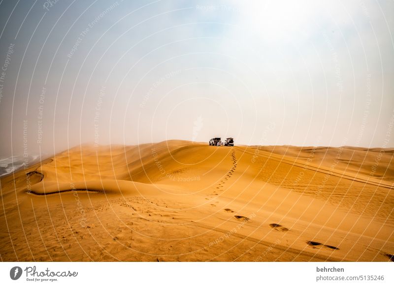 wenn der weg zum ziel führt weite fantastisch Dünen Außenaufnahme Afrika Namibia träumen Wüste sandwich harbour besonders Sand Ferne Fernweh reisen Sehnsucht