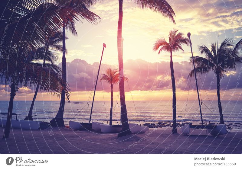 Karibischer Tropenstrand mit kleinen Katamaranen und Kokospalmen-Silhouetten bei Sonnenuntergang, Farbabtönung angewendet, Mexiko. MEER Strand Natur Karibik