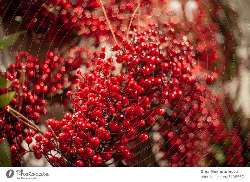 Rote Beeren Kranz an der Wand auf dem Weihnachtsmarkt zu speichern für Haus Innendekoration Totenkranz rot Hintergrund Textur Innenbereich dekorativ Feier
