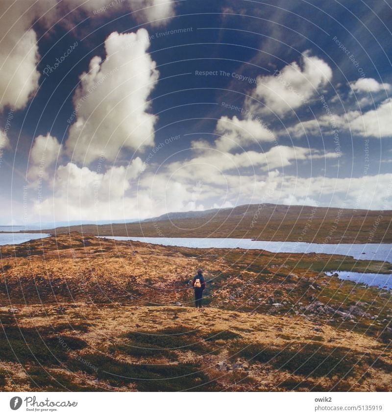 Vidda Landschaft Wolken Frau Erwachsene stehen beobachten Rückansicht Rucksack Panorama (Aussicht) Tag Nordeuropa Norwegen Mensch Natur Umwelt Naturerlebnis