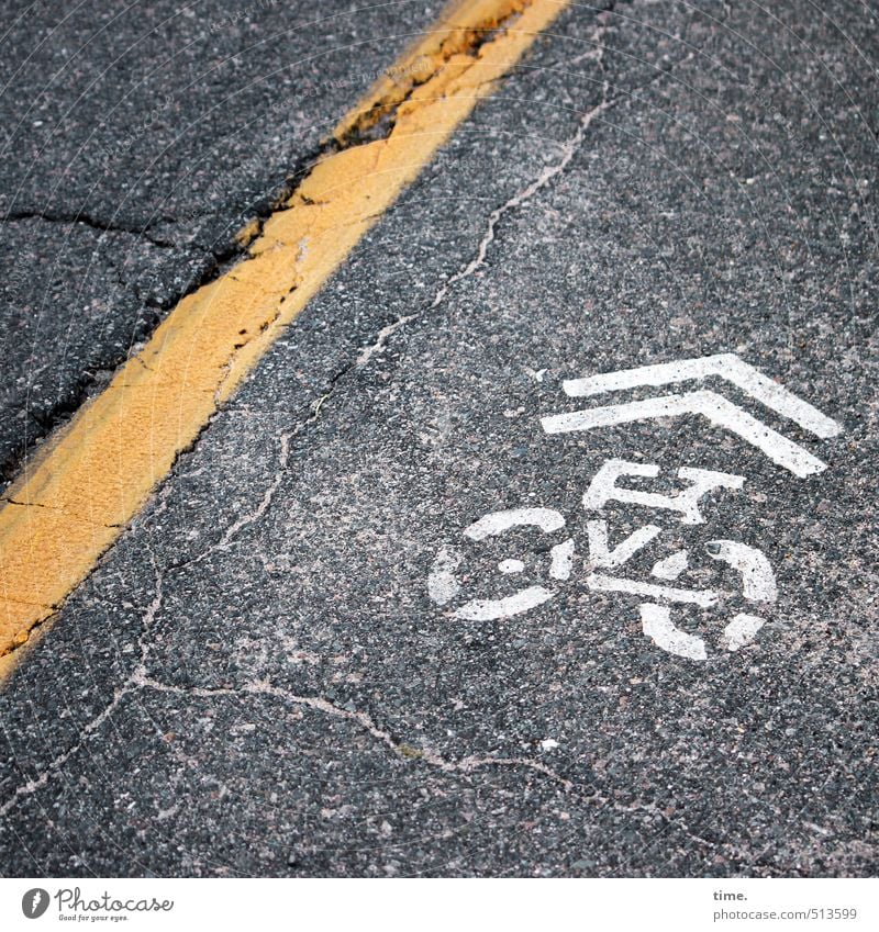 Überdachter Fahrradweg Verkehr Verkehrswege Straßenverkehr Fahrradfahren Wege & Pfade Mittellinie Asphalt Betonboden Fahrbahnmarkierung Zeichen