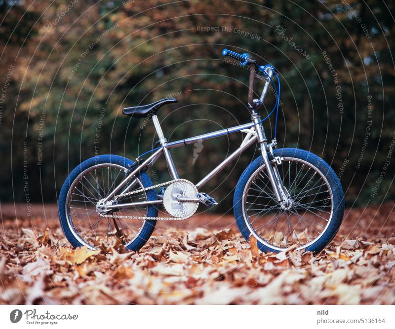 Oldschool BMX auf herbstlichem Waldweg Fahrrad Radsport Vintage 80er singlespeed Farbfoto Mobilität Freizeit & Hobby Fahrradfahren stahlrahmen Chrom