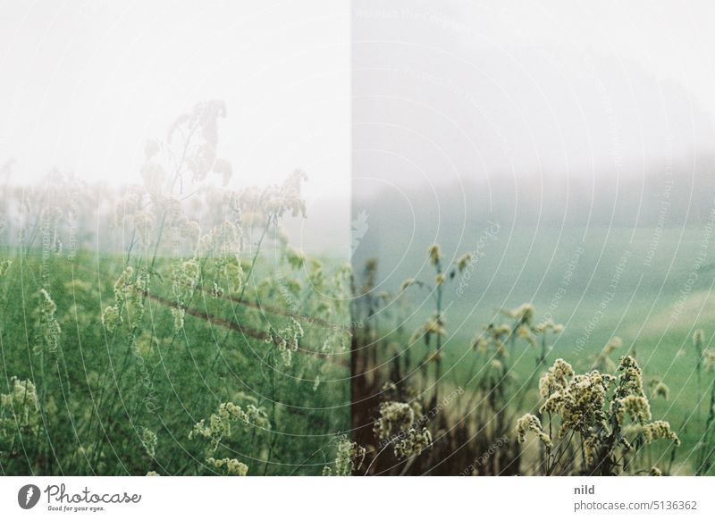 Parallelwelt – überlappend parallelwelt Herbst Winter neblig Nebel Nebelstimmung Doppelbelichtung Feld Wegrand Außenaufnahme Natur Nebelschleier Landschaft