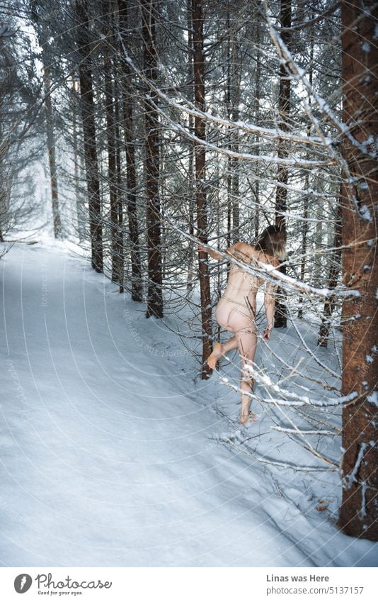 Es ist eiskalt draußen im Wald. Jedenfalls rennt dieses wunderschöne nackte blonde Mädchen barfuß durch den Schnee. Sexy Kurven. Hintern. Eine wilde und freie Frau fühlt sich wohl in ihrer Haut in einem weißen Winterwunderland.