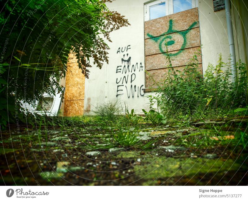 Graffiti "Auf Emma und ewig" an Hauswand im zugewachsenen Hinterhof eines Abbruchhauses. Graffito Abrisshaus unkraut zugenageltes fenster Holzplatten for