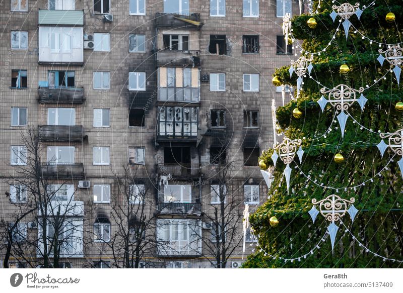 Weihnachtsbaum mit Spielzeug in der Nähe des Hauses in der zerstörten Stadt in der Ukraine donezk Kherson kyiv Lugansk mariupol Russland Saporoschje aussetzen