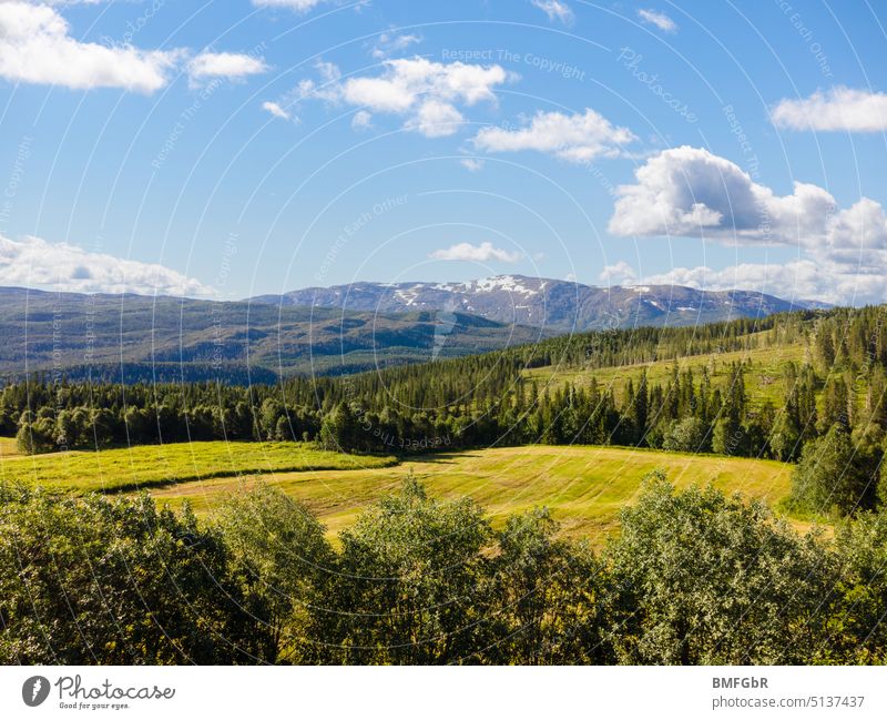Drohnenluftbild über Wiesen und Waldlandschaft in Norwegen Landschaft Natur Berge u. Gebirge Himmel wolkig Gras grün Wolken Feld keine Menschen Tag Umwelt