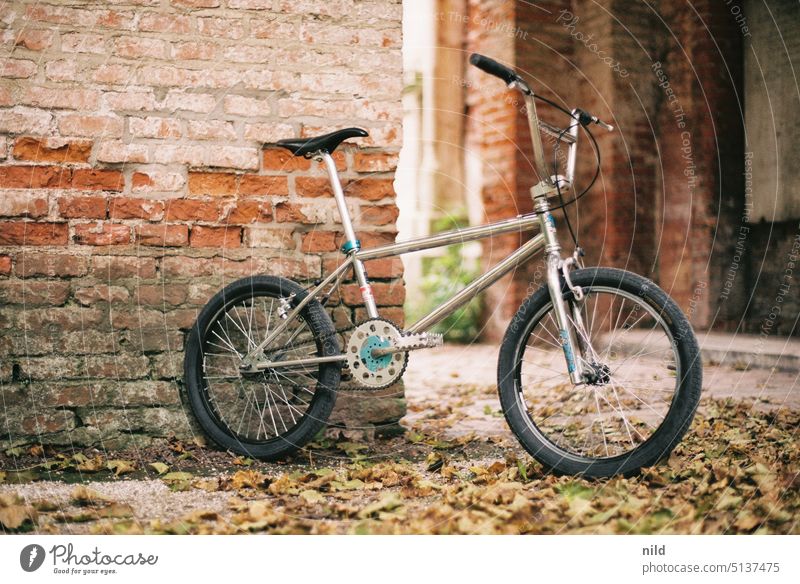 Vintage oldschool BMX in herbstlicher Parkanlage retro stahlrahmen Lifestyle Verkehrsmittel Fahrrad Freizeit & Hobby Sport Farbfoto sportlich Mobilität Fitness