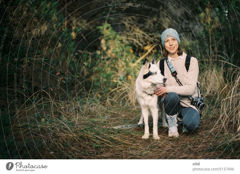 Waldbad mit Hund Hundeportrait Haustier Tier Tierporträt Farbfoto Außenaufnahme niedlich Tag Blick Schwache Tiefenschärfe beobachten Tierliebe