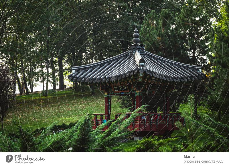 Kleine japanische Pagode im grünen Garten klein Japanisch Sträucher Baum Gras Wiese Waldwiese Nadeln Dach Dekoration & Verzierung Asien Schindeln Sommer