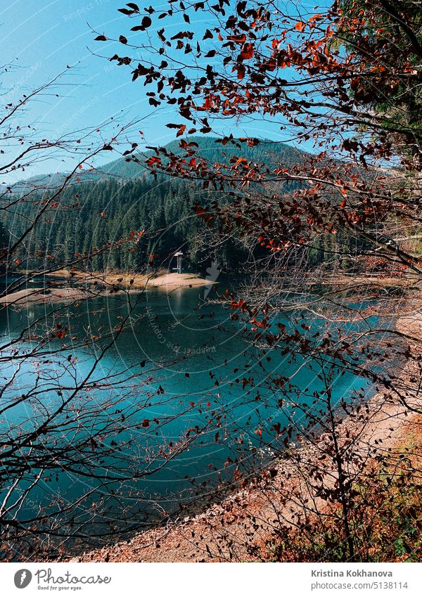 Erstaunlicher Herbstblick auf einen See in den Karpaten. Synevyr-See, Ukraine. Touristischer Ort. Wald Berge u. Gebirge synevir Cloud Landschaft blau Hügel