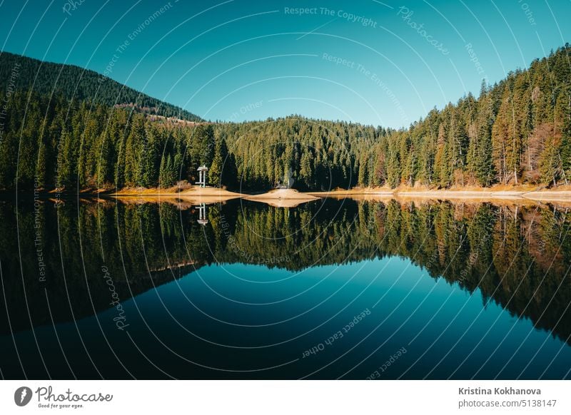 Panoramablick - See im Karpatenhochgebirge - Synevir. Beliebter touristischer Ort in der Ukraine. Nationaler Naturpark im Herbst Tag Berge u. Gebirge Wald