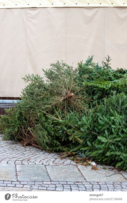 St. Knut | Sammelstelle für Weihnachtsbäume Sammelplatz Weihnachtsbaum abgelegt ausgedient grün Weihnachten & Advent Tannenbaum Tradition Weihnachtszeit