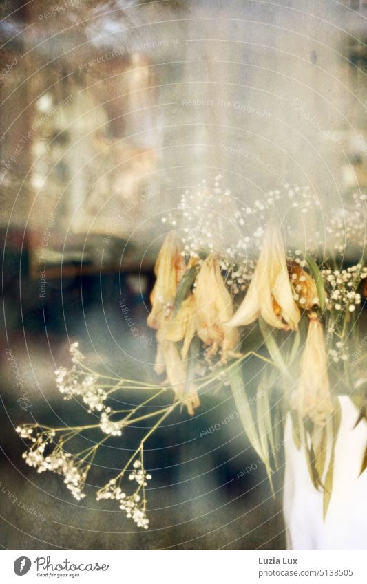 Ein vertrockneter Blumenstrauß hinter einer Schaufensterscheibe, vor Spiegelungen der Straße welk gelb vergänglich verblüht Vergänglichkeit trocken getrocknet