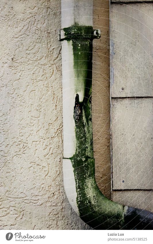 Regenfallrohr mit grüner Patina Regenrinne alt Abzweig Resopal Fassade Rauhputzwand beige grau Form braun marode trist Wand Mauer Stadt