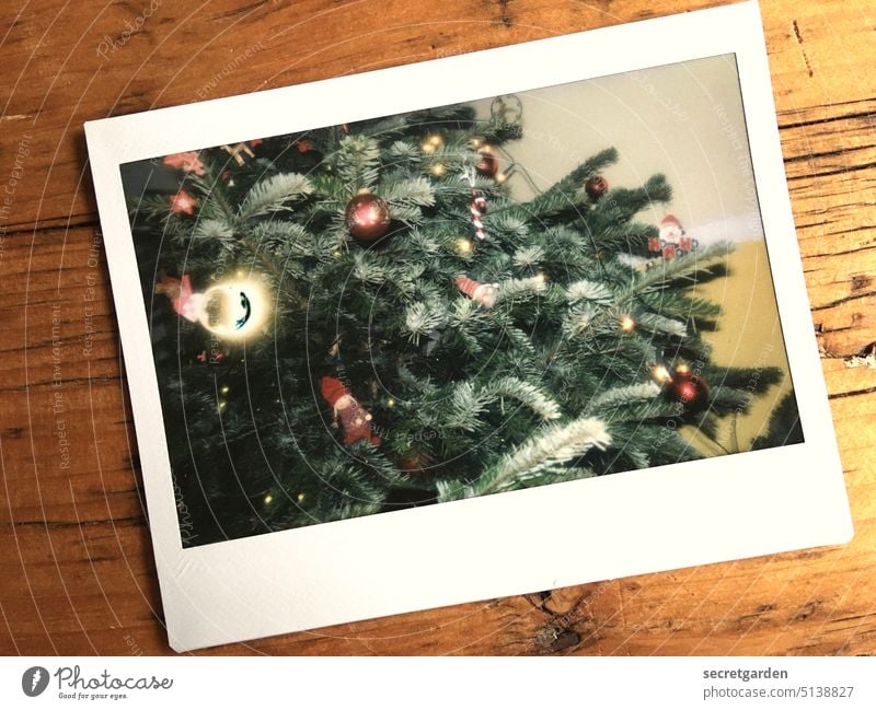 drei, zwei, eins, vorbei Tannenbaum Weihnachten Polaroid grün braun Tisch Weihnachten & Advent Weihnachtsbaum Weihnachtsdekoration Feste & Feiern Tradition