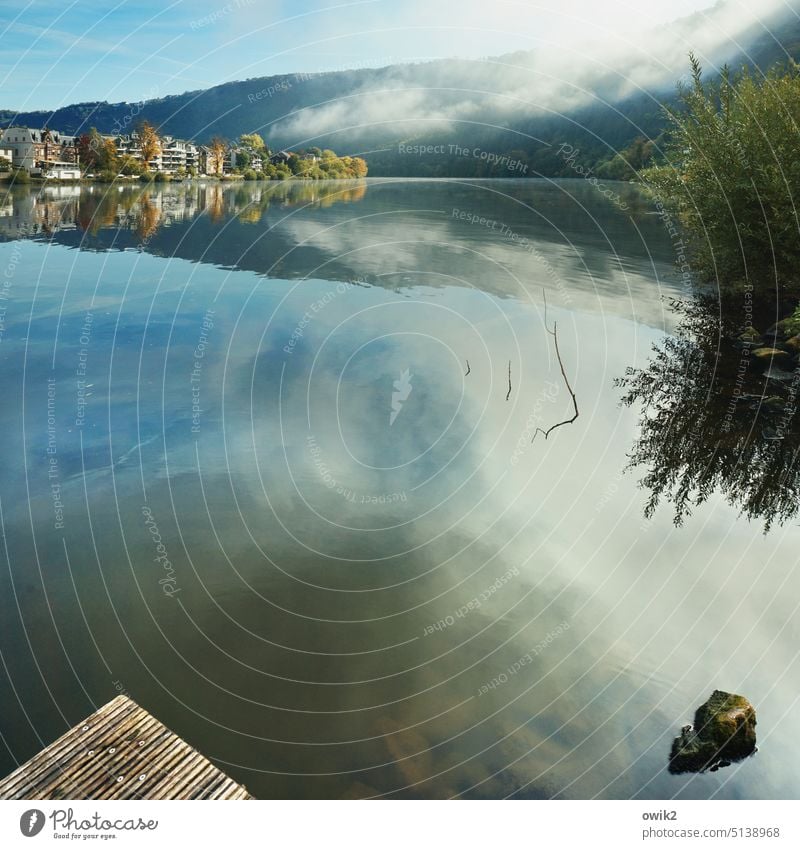 Flussabwärts Traben-Trarbach Mosel Wasser Wasseroberfläche Wasserspiegelung windstill Außenaufnahme Reflexion & Spiegelung Natur Farbfoto Menschenleer