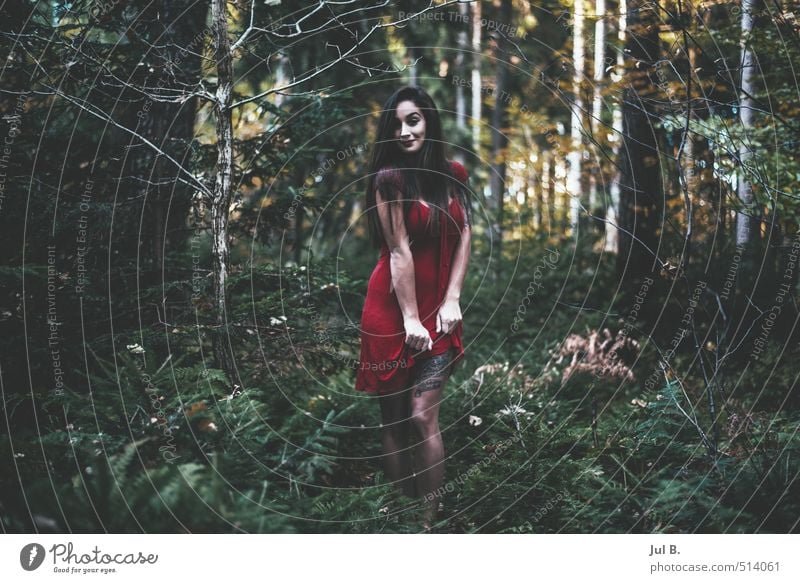Bein zeigen I feminin Junge Frau Jugendliche 1 Mensch 18-30 Jahre Erwachsene Natur Herbst berühren Farbfoto Außenaufnahme Tag Blitzlichtaufnahme Porträt
