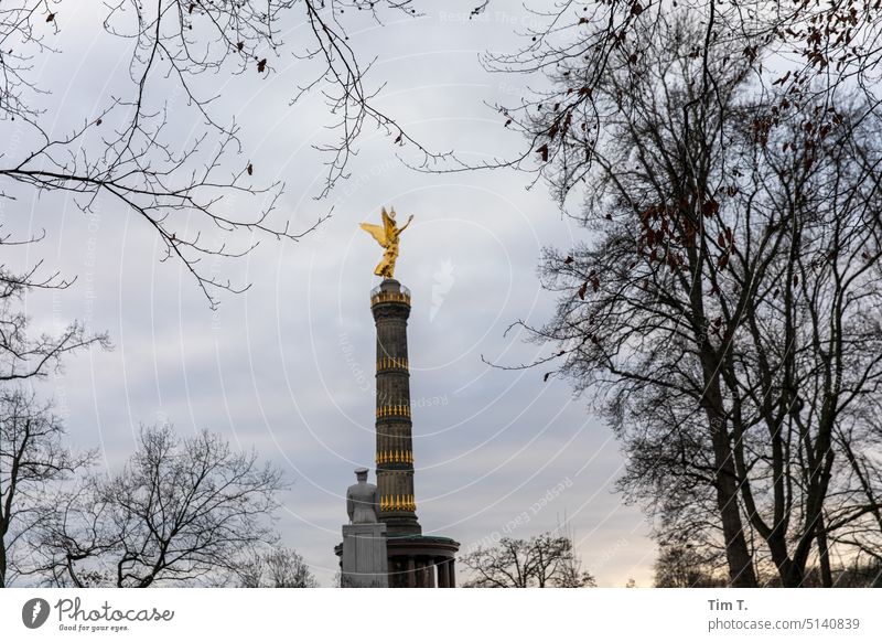 Die Siegessäule zwischen Bäumen in Winter Berlin Himmel Goldelse Denkmal Hauptstadt gold Tiergarten historisch großer stern Deutschland Figur blattgold