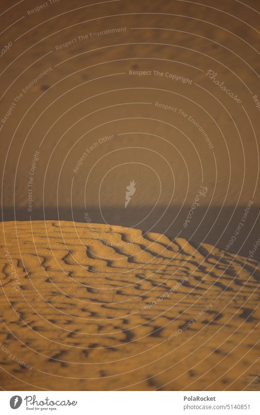 #A0# Sand und so Wind Dünenschutz Dünenrücken Dünenkamm dünenlandschaft Sandstrand Wüste Form formen Formation Symmetrie sandig Sandkorn Sandverwehung