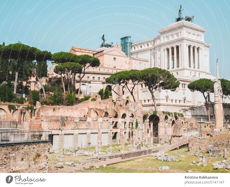 Bild des Forum Romanum in Rom, Italien. Ruinen von Gebäuden des antiken Imperiums. Römer reisen Architektur Europa Europäer Historie alt Spalte Antiquität