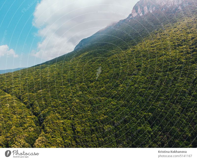 Luftaufnahme. Fliegen über schönen grünen Wald auf hohen Berghang in Sabaudia, Italien Landschaft. Drohne fliegt in der Sommersaison. Strand reisen MEER