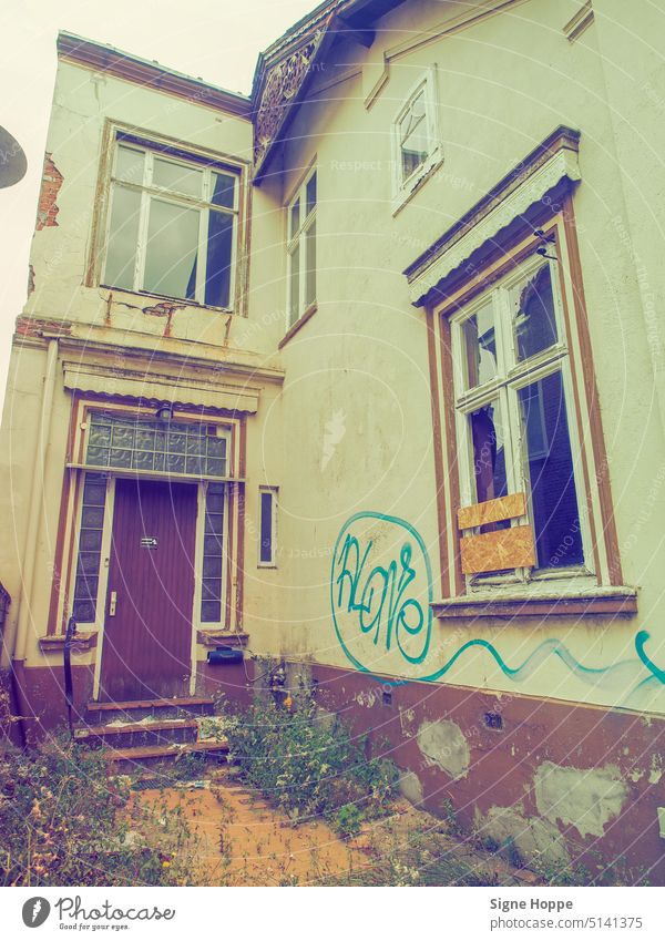 Zugewachsener Eingang eines Abbruchhauses mit kaputten Fensterscheiben, abblätterndem Putz und Graffito. Abrisshaus Wandschmiererei Graffiti Schmierereien