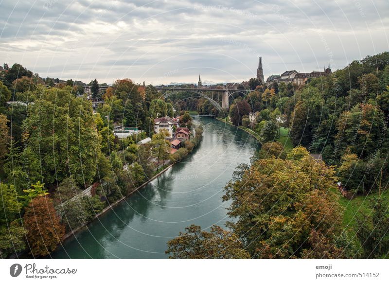 Bern Umwelt Natur Landschaft Herbst Wald Fluss Stadt Hauptstadt Skyline natürlich nachhaltig Politik & Staat Farbfoto mehrfarbig Außenaufnahme Tag Weitwinkel