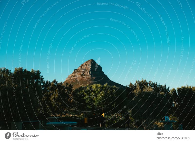 Blick auf den Lions Head vom Signal Hill in Cape Town Berg Hügel Landschaft blauer Himmel Sehenswürdigkeit Berge u. Gebirge Blauer Himmel Natur Schönes Wetter