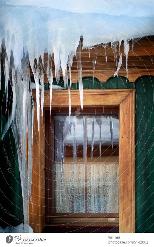 Eiszapfen hängen vom Dach eines grünen Holzhäuschens und spiegeln sich im Fenster rustikal Frost Winter winterlich Kälte kalt gefroren urig Gardine Holzhaus