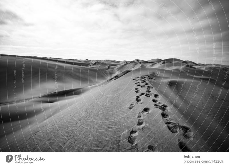 spuren im sand weite fantastisch Dünen Außenaufnahme Afrika Namibia Ferne Sand besonders sandwich harbour Wüste Fernweh reisen träumen Natur Einsamkeit