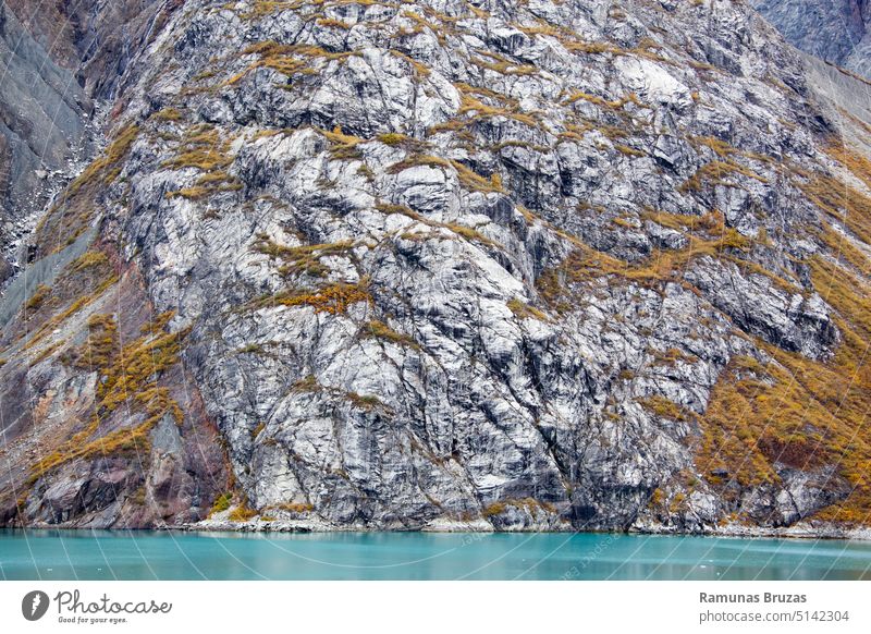 Glacier Bay National Park Steilküste im Herbst Natur Ansicht malerisch abstrakt Hintergrund Wasser Bucht türkis Ufer Küste Küstenlinie im Freien reisen wandern