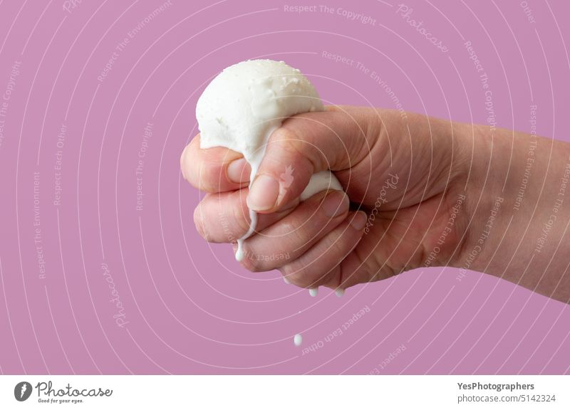 Quetschende Mozzarella-Kugel in der Hand, Nahaufnahme auf lila Hintergrund Amuse-Gueule Ball hell Bufala Büffel Burrata Kalzium Caprese Käse Farbe Konzept