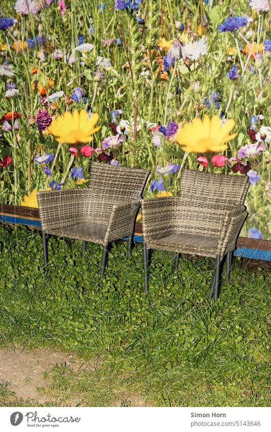 Sessel zwischen echter und imitierter Wiese virtuell Umgebung Blumen künstlich Garten Imitat imitieren Frühling Blumenwiese Abbild Gras Natur grün
