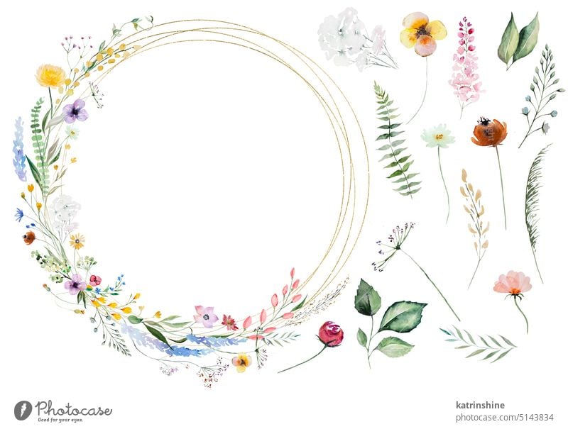 Runde Rahmen aus Aquarell Wildblumen und Blätter, Hochzeit und Gruß Illustration Geburtstag botanisch farbenfroh Dekoration & Verzierung Zeichnung Element