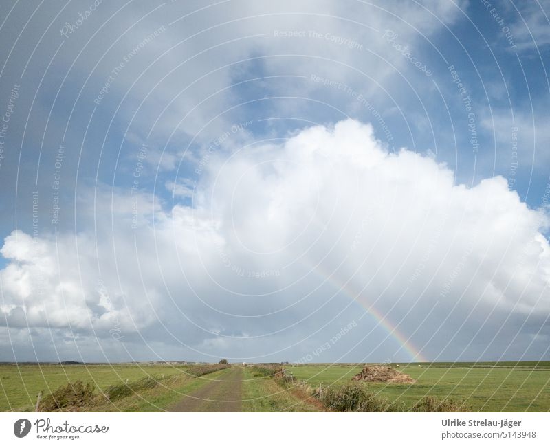 Ameland Feldweg hinter dem Deich mit Regenbogen und Wolken weiße Wolke Landschaft Menschenleer Himmel Außenaufnahme Weide grün blau Tag Farbfoto Wetter