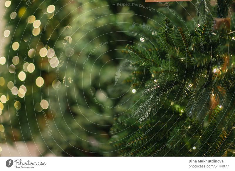 grün faux Fichte Weihnachtsbaum Textur mit Licht Bokeh. Leere minimale grünen Tannenbaum Hintergrund abstrakt gealtert Postkarte Weihnachten Dezember