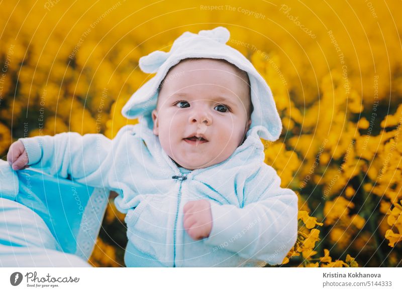 Niedliche kleine Baby-Junge Porträt in Rapsfeld auf gelben Blumen Hintergrund, Familie, Sohn, Kleinkind Kind Konzept. Schönheit Feld Tag schön Spaß heiter