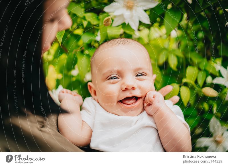 Schönes Porträt von kleinen Baby-Jungen auf Blumen Busch Hintergrund. Kind im Frühling blühen. Cute neugeborenen Sohn lächelnd. Glück Kindheit Buchse Kaukasier