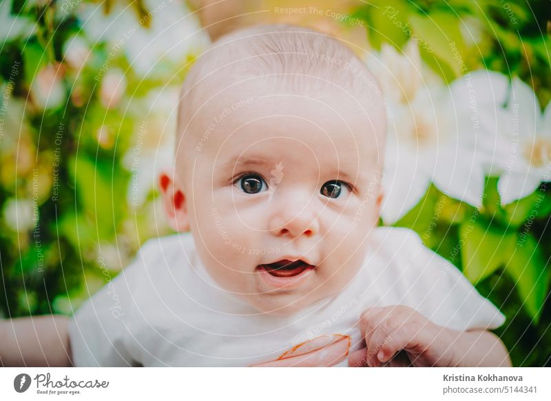 Schönes Porträt von kleinen Baby-Jungen auf Blumen Busch Hintergrund. Kind im Frühling blühen. Cute neugeborenen Sohn lächelnd. Glück Kindheit Buchse Kaukasier