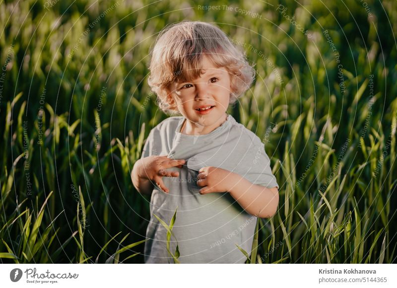 Porträt eines lockigen Kindes, das in einem frischen grünen Weizenfeld steht. Lovely Kleinkind Junge erforscht Pflanzen, Natur im Frühling. Kindheit, Zukunft, Landwirtschaft, Ökologie Konzept