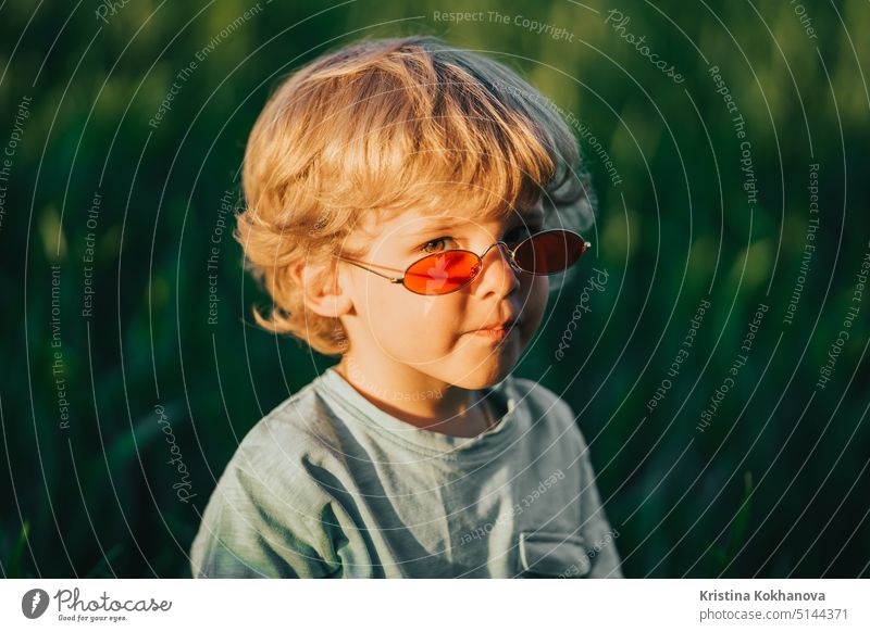 Lustige lockiges Haar Baby Junge in roten Sonnenbrille stehend in frischen grünen Weizenfeld. Lovely Kleinkind Kind erforscht Pflanzen, Natur im Frühling. Kindheit, Kinder Mode-Stil-Konzept