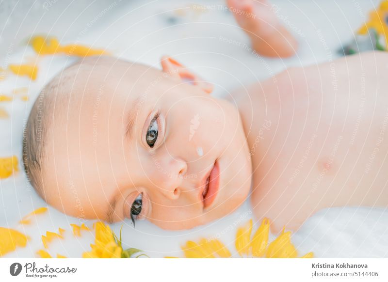 Niedliche kleine Baby-Junge Porträt in Milchbad mit Sonnenblumen. Gesunde Lebensweise. Kind im Sommer Garten, Natur Konzept. melken Sauberkeit Badewanne