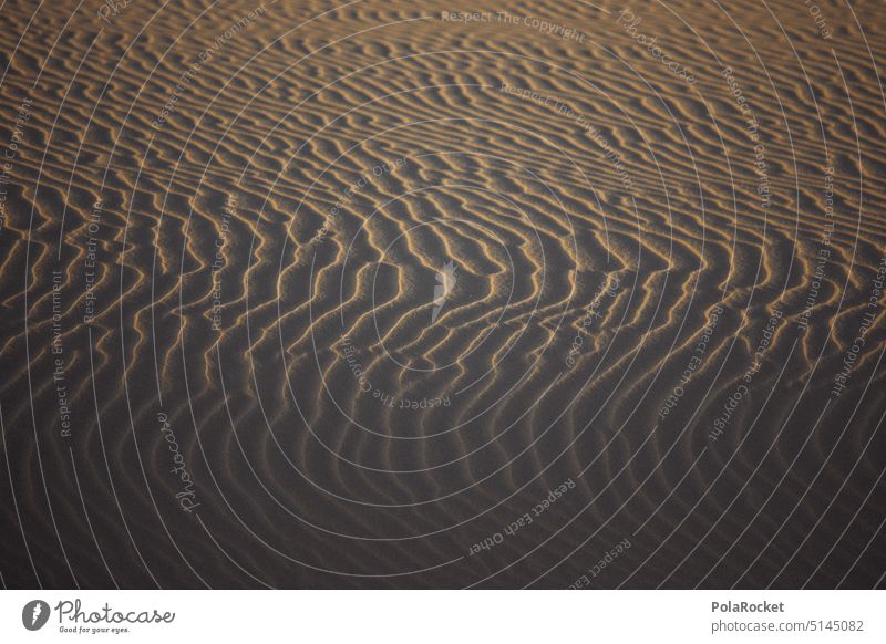 #A0# Golden Sands Sandstrand Wüste formen Form Formation Symmetrie sandig Sandkorn Sandverwehung wüstenlandschaft wüstensand Sonnenuntergang