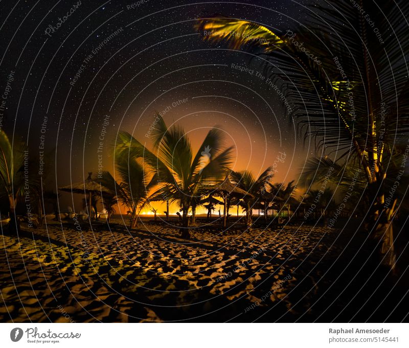 Unter Sternen und Palmen, Fotografie des Nachthimmels am Strand von Boa Vista keine Menschen im Freien Himmel Natur MEER Landschaft Ruhe boa vista Kap Verde