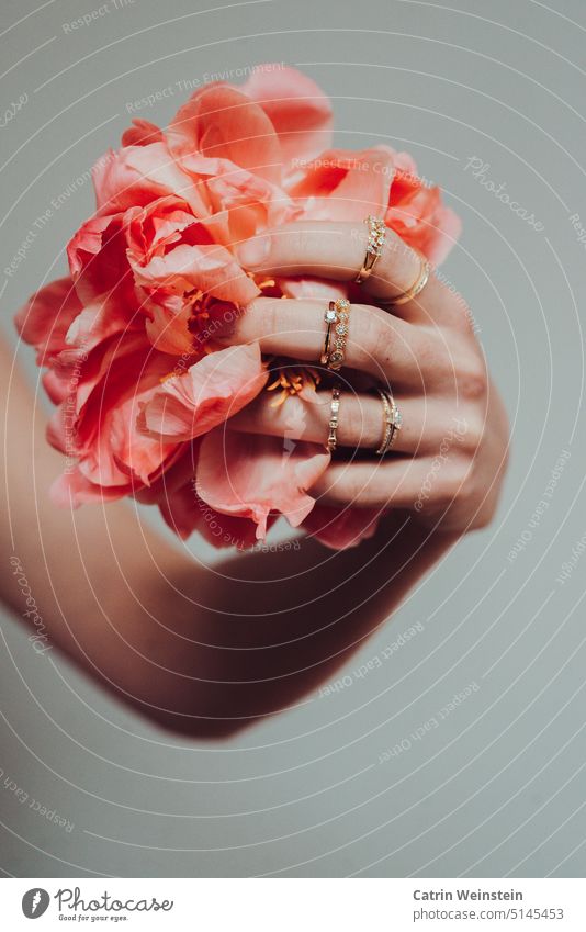 Eine weibliche Hand mit vielen Ringen hält eine Blume Frau Schmuck Diamant gold orange-rot rosa Blüte