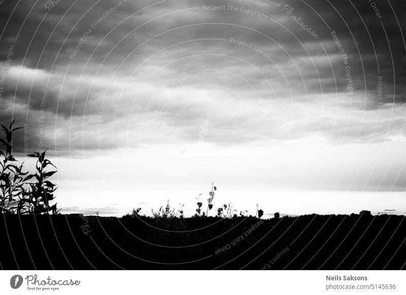 Wiese unter bewölktem Himmel dunkel Schwarzweißfoto Monochrom mono Wolken schwarz Kontrast Landschaft Menschenleer Umwelt trist Wald Feld schlechtes Wetter grau